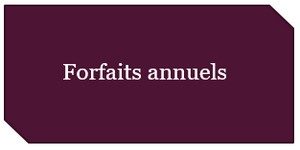1. Forfaits annuels
