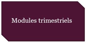 2. Modules trimestriels